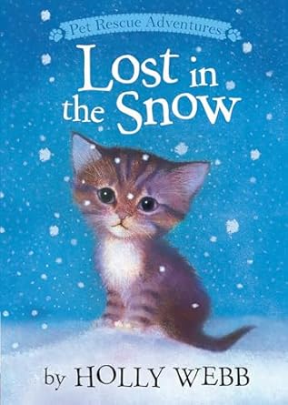 Lost in the Snow
