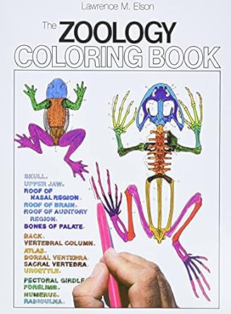 Zoology Coloring Book