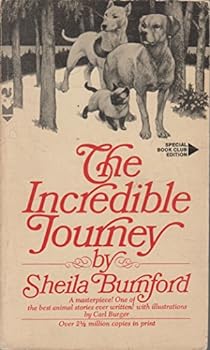 The Incredible Journey