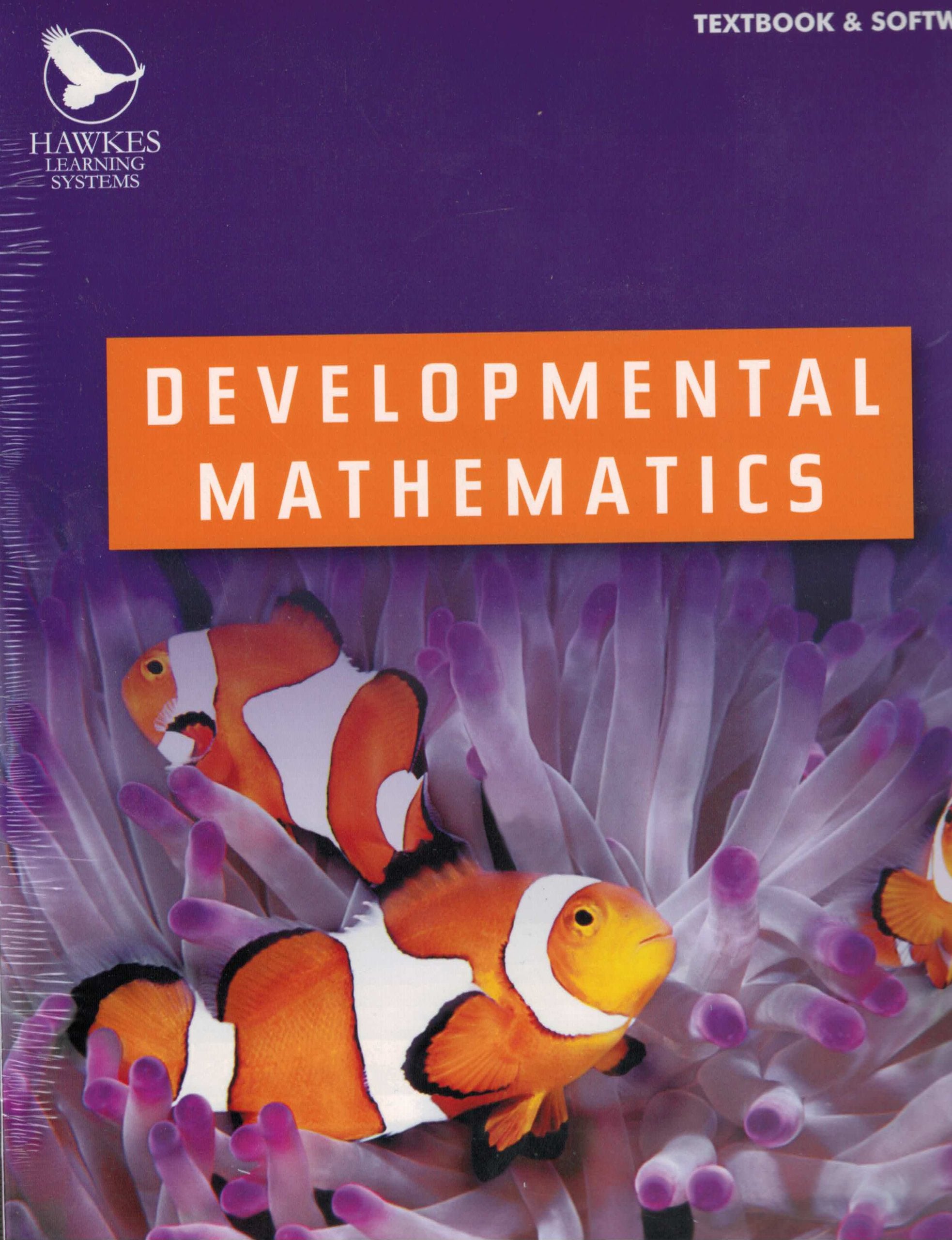 Developmental Mathematics – Grace School Associations