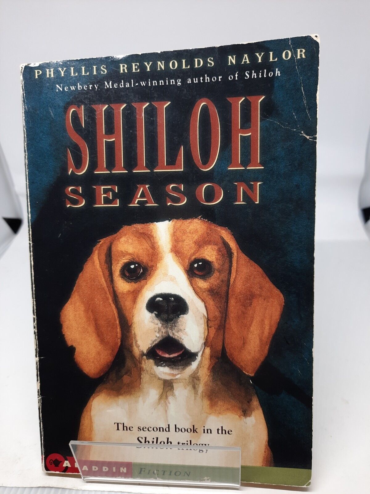 Shiloh Season