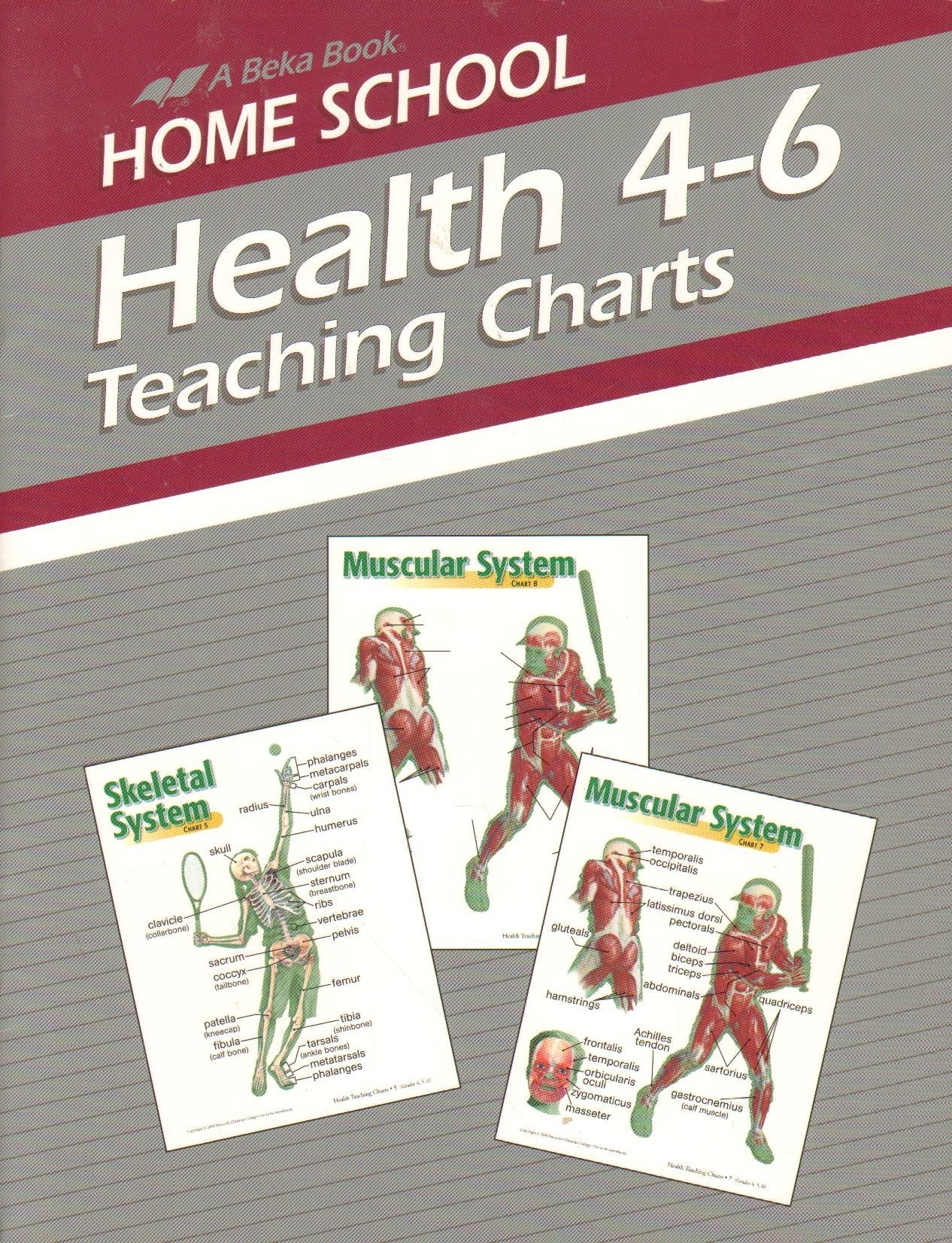 Health 4-6 Teaching Charts