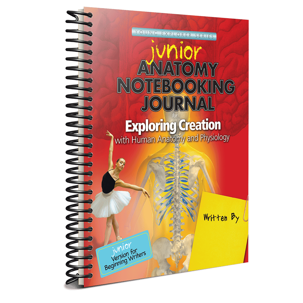 Junior Anatomy Notebooking Journal