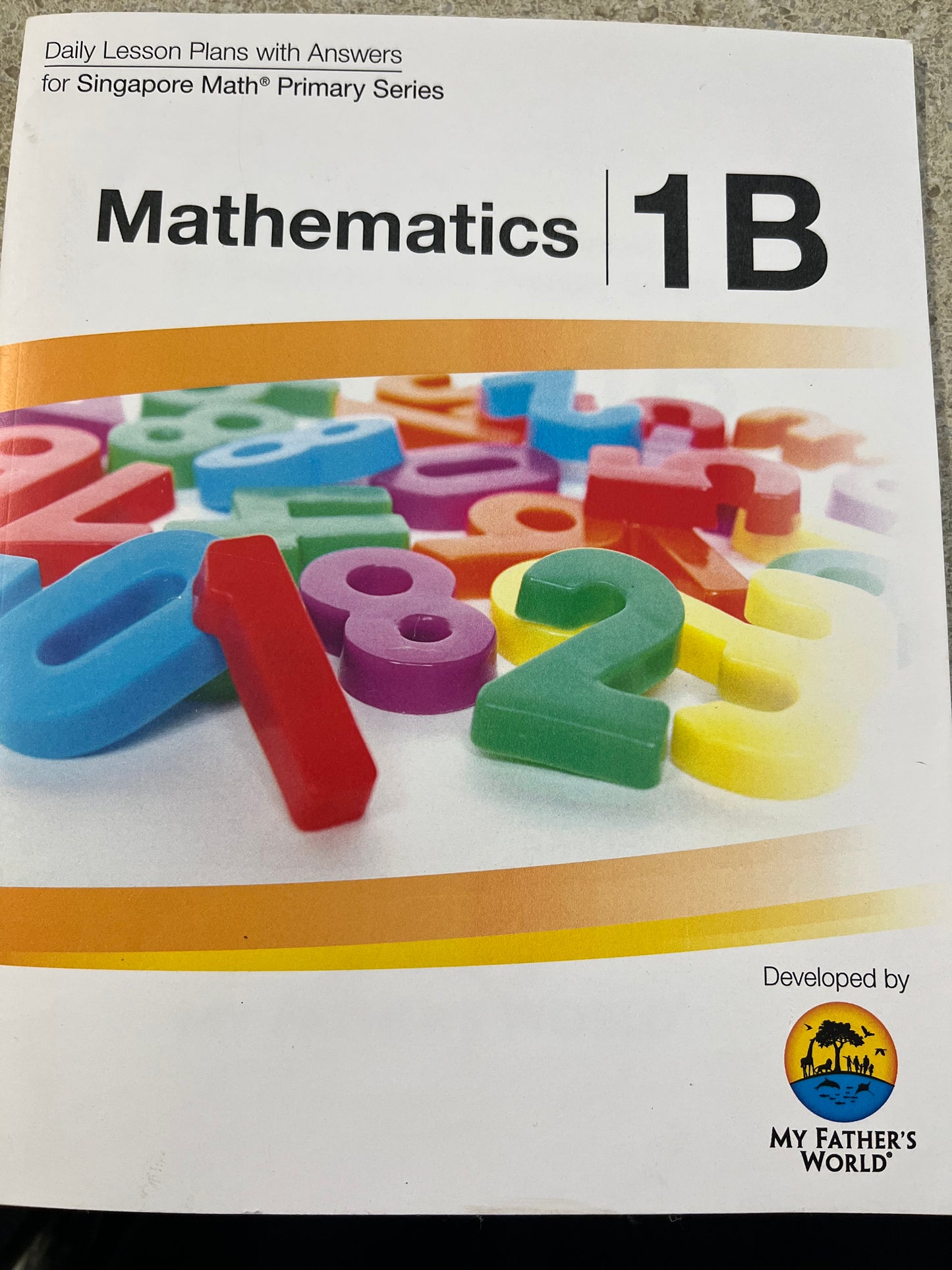 Primary Mathematics Lesson Plan 1B