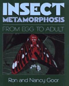 Insect Metamorphosis - From Egg to Adult