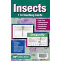 Insects Flash Cards